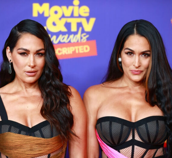 Nikki and Brie Bella stun in a pink dress with a corset bra at the MTV Movie & TV Awards